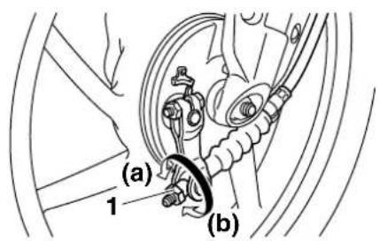 (a) 1 (b)