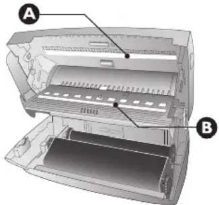 A B