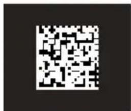DATALOGIC 94A151132 - 2D Codes - 2