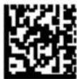 DATALOGIC 94A151132 - 2D Codes - 1