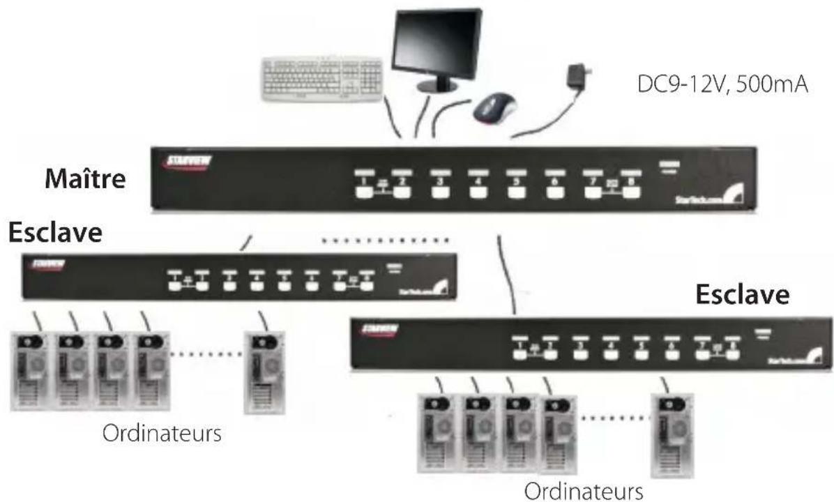 StarTech.com SV831DUSBAU - Configurations en Cascade - 2