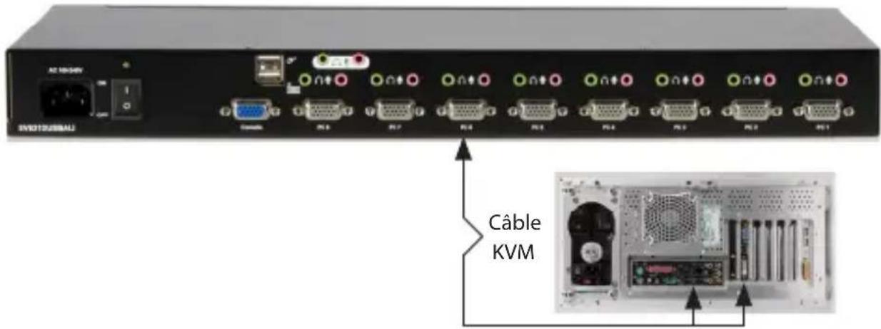 StarTech.com SV831DUSBAU - Connexion des Ordinateurs au Commutateur KVM - 1