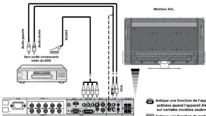 Audio gauche Audio droite Vers sortie composante vidéo du DVD SCART Moniteur ACL RCA RCA Indique une fonction de l'app activées quand l'apparell AV sur certains modèles seulement Indique une fonction de synthet