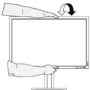NEC MultiSync LCD3090W - Élévation et abaissement de l'écran du moniteur - 3