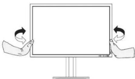 NEC MultiSync LCD3090W - Kantelen - 1