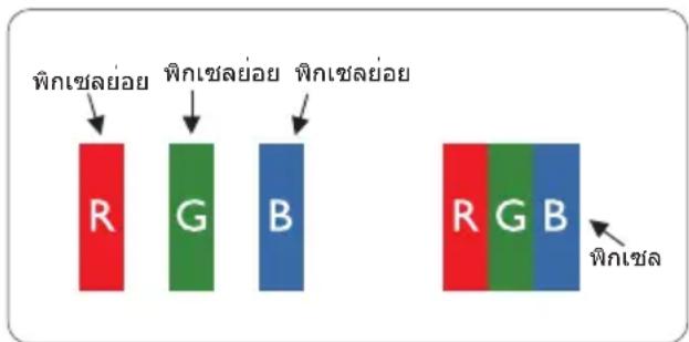 PHILIPS 196V3LSB - นุโยบายเกี่ยวกับพิกเชลที่ เสี่ยของจอภาพแบบแนนของ Philips - 1