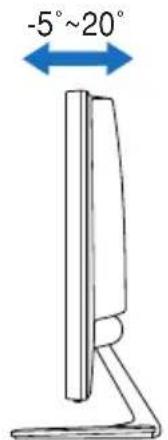 ASUS VE198S - Adjusting the monitor - 1