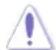 ASUS VW226TL-TAA - Conventions used in this guide - 2