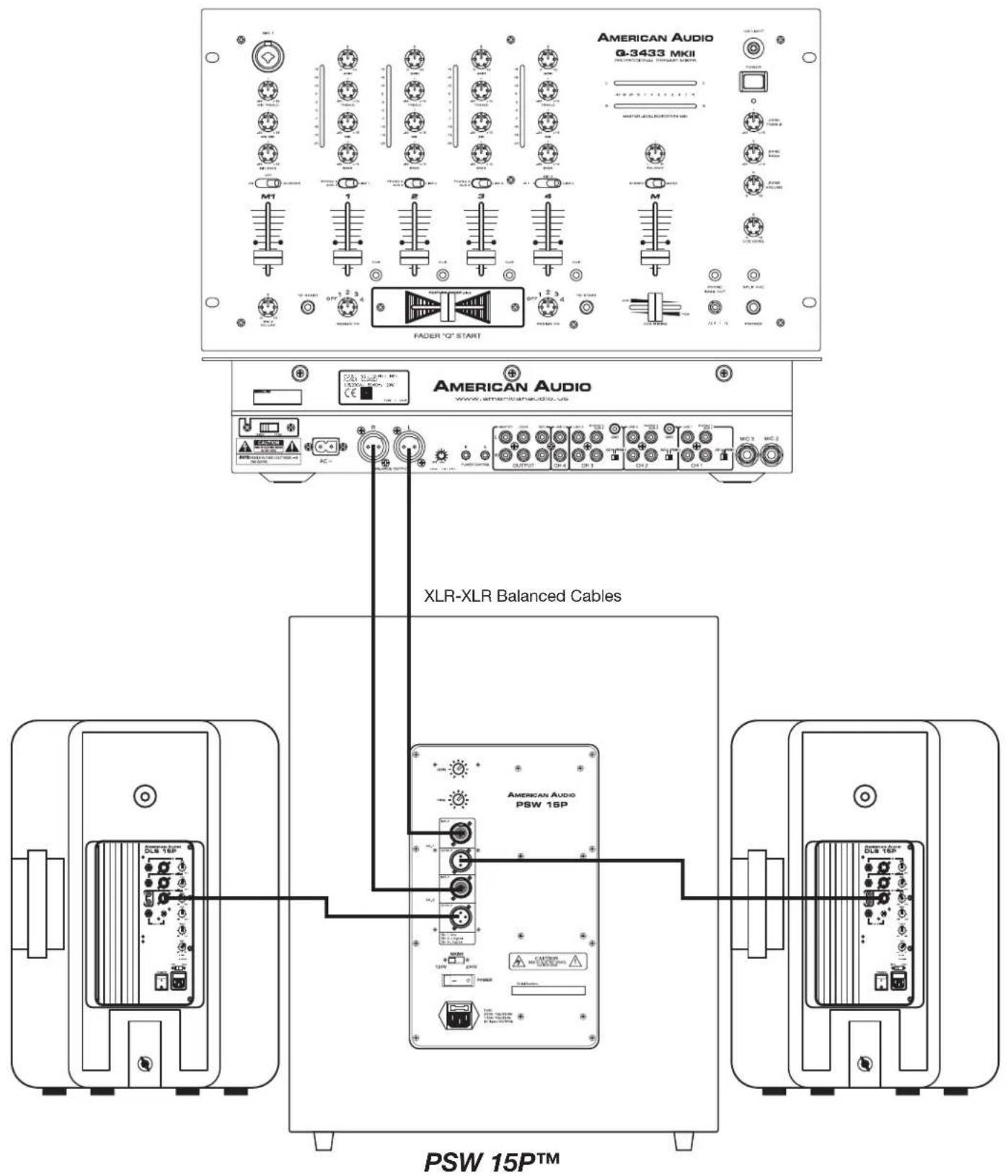 American Audio PXW 15 P - Rear Panel: - 1
