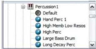 AAS Tassman 4 - The Instruments folder - 1