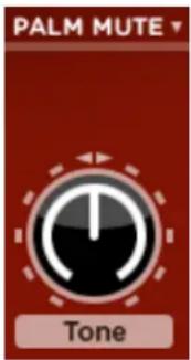 AAS Strum Electric GS-1 - The Palm-Mute Module - 1