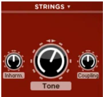 AAS Strum Electric GS-1 - The Strings Module - 1