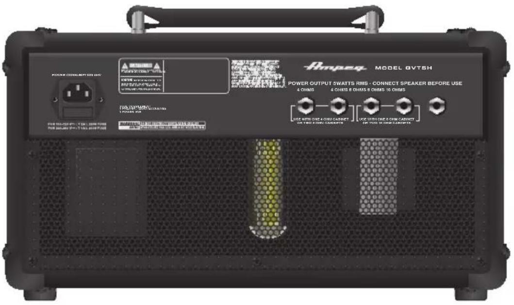 AMPEG GVT5H 5 - Gritar A Wpile - 1