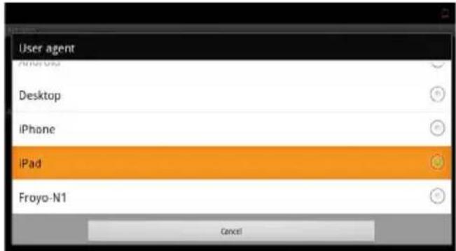 User agent iPhone Desktop iPhone iPad Froyo-N1 Cancel