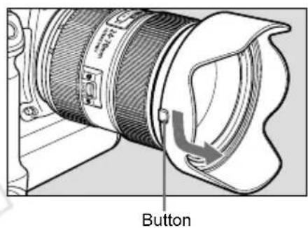 CANON EF 24-70mm 2 8 L USM II - Hood - 2