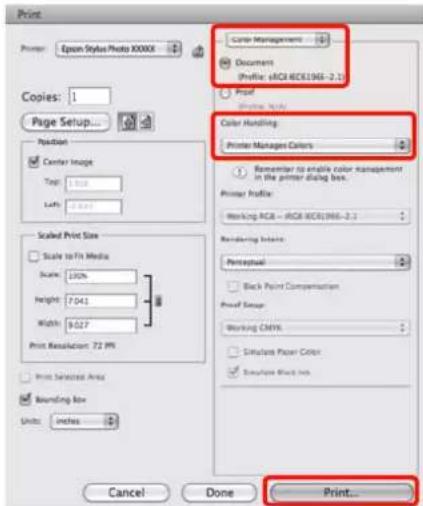 EPSON Stylus Photo R2000 - Conseil : - 1
