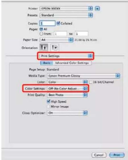 EPSON Stylus Photo R2000 - Pour Mac OS X - 1
