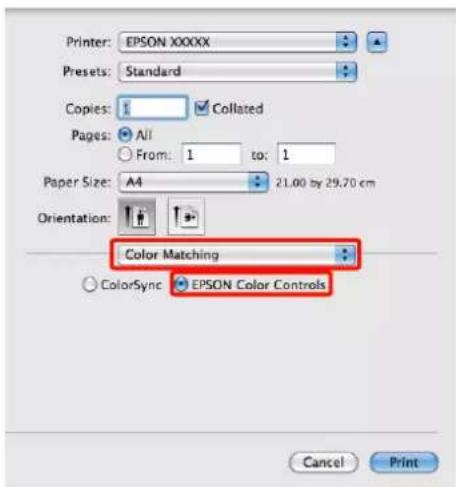 EPSON Stylus Photo R2000 - 3 - 1