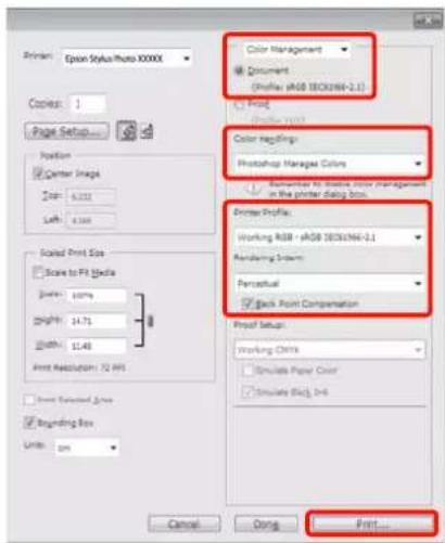 EPSON Stylus Photo R2000 - Configuration de la gestion des couleurs avec les applications - 1