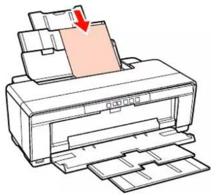 EPSON Stylus Photo R2000 - Feuille simple - 1