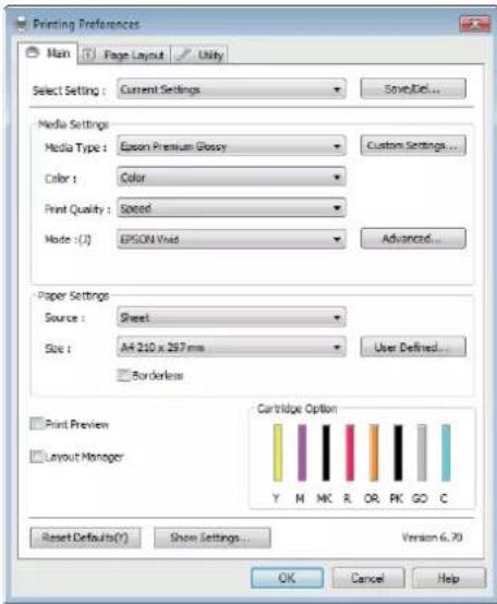 EPSON Stylus Photo R2000 - Récapitulatif du pilote d'impression - 1