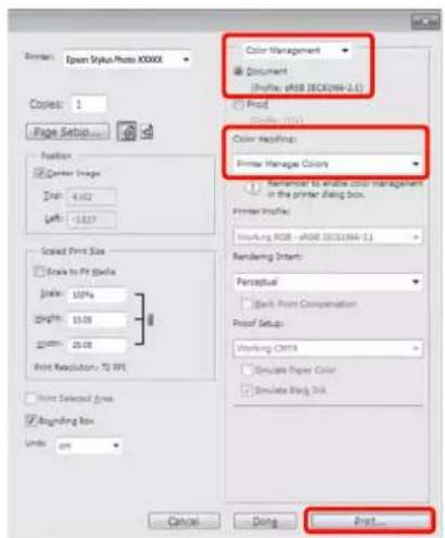 EPSON Stylus Photo R2000 - Conseil : - 1