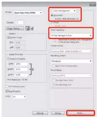 EPSON Stylus Photo R2000 - Conseil : - 1