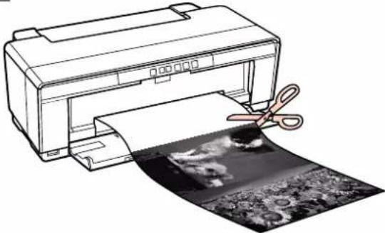 EPSON Stylus Photo R2000 - 1 - 2