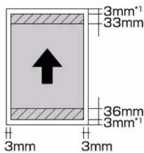 EPSON Stylus Photo R2000 - Zone imprimée des feuilles simples - 1