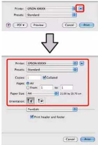 EPSON Stylus Photo R2000 - 3 - 1
