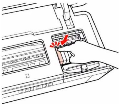 EPSON Stylus Photo R2000 - 7 - 1