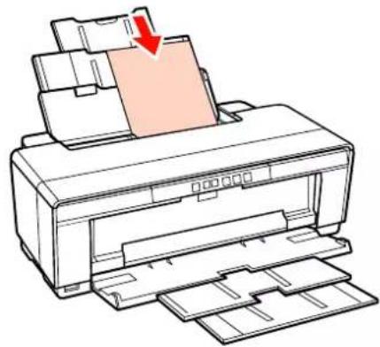 EPSON Stylus Photo R2000 - Chargement du papier dans le bac feuille à feuille automatique - 3