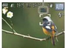 CANON Ixus 140 - Zooming In Closer on Subjects (Digital Zoom) - 2