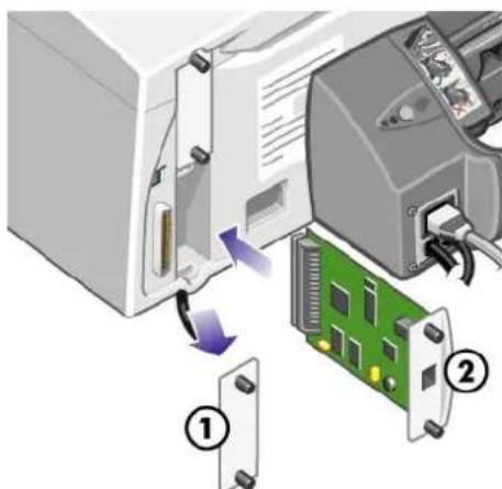 HP Designjet 111 - Le serveur d'impression Jetdirect - 2