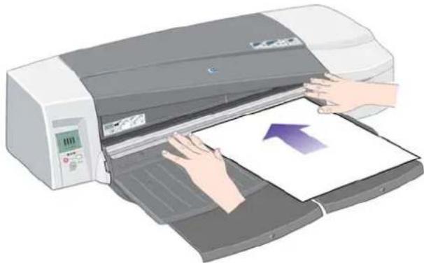 HP Designjet 111 - Chargement du papier dans le chemin avant - 4