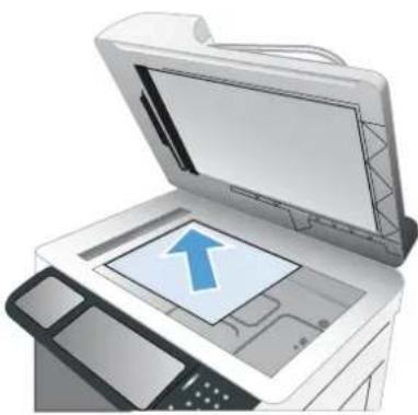 HP LaserJet Enterprise CM4540 MFP - REMARQUE : Copie de photos depuis la vitre du scanner - 1
