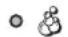 INDESIT IWB 6143 - Laufende Programmphase - 1
