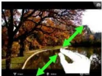 Autumn park scene with trees, a pond, and green directional arrows (no text or symbols)