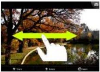 Photo of a hand pointing at a tree in autumn with a yellow arrow indicating direction (no text or symbols)