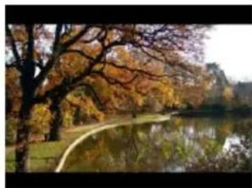 Autumn park scene with colorful trees reflected in a calm lake, no visible text or symbols