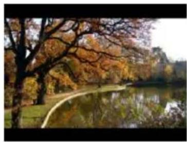 Autumn park scene with trees reflected in a calm lake, no visible text or symbols