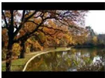 Autumn park scene with trees reflected in a calm lake, no visible text or symbols