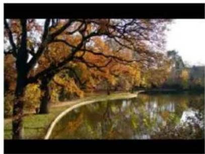 Autumn park scene with a calm lake reflecting autumn trees and bare branches (no text or symbols visible)