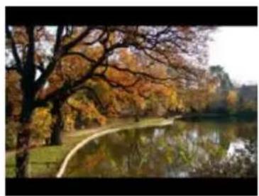 Autumn landscape with a calm lake, tree branches, and autumn-colored trees reflected in the water (no text or symbols visible)
