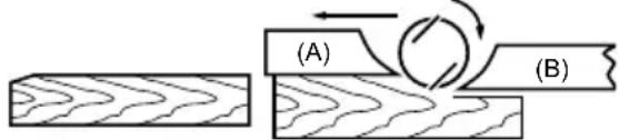 (A) (B)