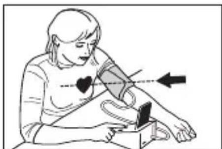 MEDISANA 51281 CardioDock - De correcte meetpositie - 2