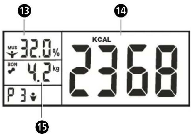 MEDISANA PSM 40446 - GB Personal scales PSM with body analysis functionality - 1
