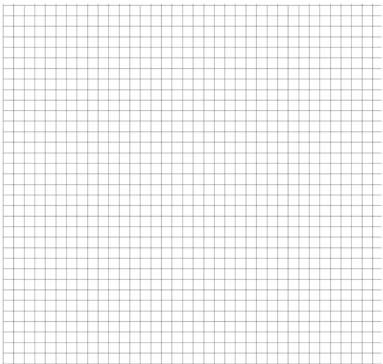 Blank grid paper with uniform gray squares on white background (no text or symbols)
