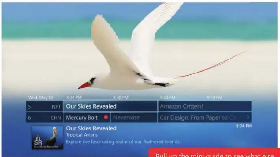 MICROSOFT Windows 7 - Enhanced UI - 1