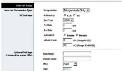 LINKSYS WAG354G - Optionale Einstellungen (für einige ISPs erforderlich) - 2